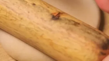 Crispy paratha croissant bites served golden and flaky 2